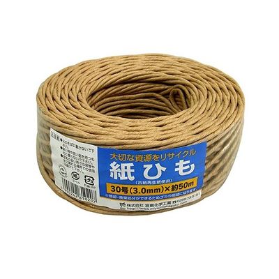 宮島化学工業 紙ひも 茶 30号(3mm)×50m Y030 1巻 63-7918-98（直送品）