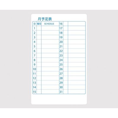 ニチレイマグネット スケジュールボード 月間予定表 WB-600-M 1枚 62-2197-28（直送品）