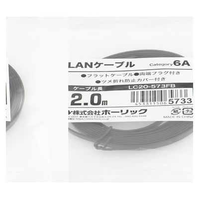 ホーリック LANケーブル UTP カテゴリー6A フラット 2m ブラック LC20-573FB 1本 65-1793-70（直送品）