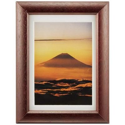 富士フイルム フジカラー デジフォトフレームD3 ハガキ(A6)・L ローズ D3KGL RO 1枚 540-4558（直送品）