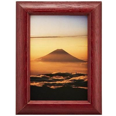 富士フイルム フジカラー デジフォトフレームD3 L ローズ D3LRO 1枚 540-4561（直送品）