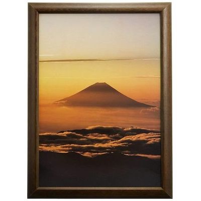 富士フイルム フジカラー デジフォトフレームD3 A4 ブラウン D3A4 BR 1枚 540-4556（直送品）