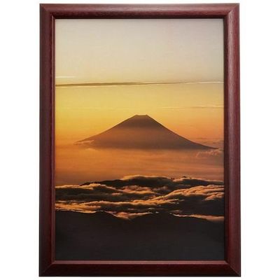 富士フイルム フジカラー デジフォトフレームD3 A4 ローズ D3A4 RO 1枚 540-4551（直送品）