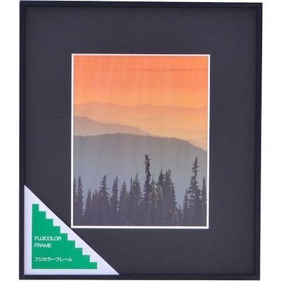 富士フイルム フジカラー アルミ額縁 A300 6切 6 1枚 563-0253（直送品）