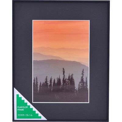 富士フイルム フジカラー アルミ額縁 A300 ワイド4切 W4 1枚 563-0256（直送品）