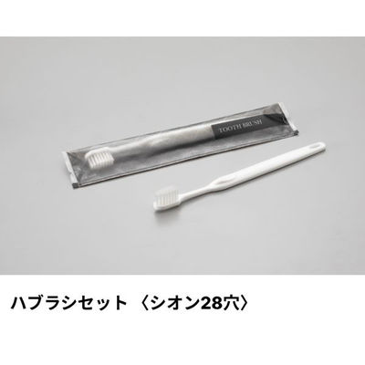 ダイト ホテルアメニティ ハブラシセット(シオン28穴) 3g刻印 ホワイト エラートシリーズ 00475473 1ケース(250点×8))（直送品）