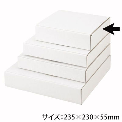 ヤマニパッケージ 贈答箱 FS-1プレートS EE-250 1ケース(1点×50))（直送品）