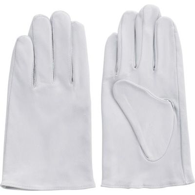 富士グローブ EXー200 白 L 5920 1双 536-4958（直送品）