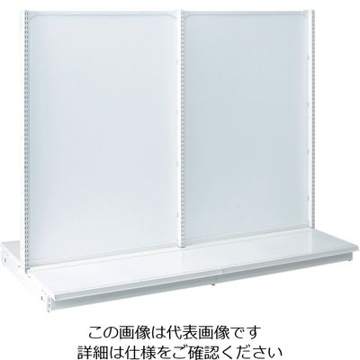 三協立山 タテヤマアドバンス KZ両面ボードタイプ本体 W60×D120×H165 SX0047 1台(1個) 114-2269（直送品）