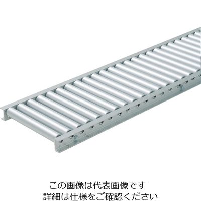 寺内製作所 TS アルミローラコンベヤ 径38.1×幅100 ピッチ75 機長3000 SA38-100730 1台(1本)（直送品）