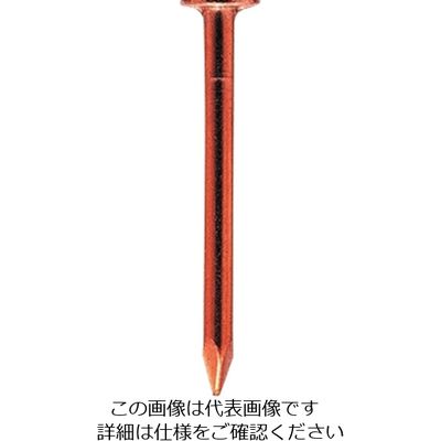 ダイドーハント DAIDОHANT HP 銅釘 平頭 2.4×50 10本入 10183064 1セット(50本:10本×5パック)（直送品）