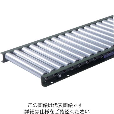 寺内製作所 TS スチールローラコンベヤφ38.1ーW100XP100X1000L S38-101010 1台(1本) 858-1928（直送品）