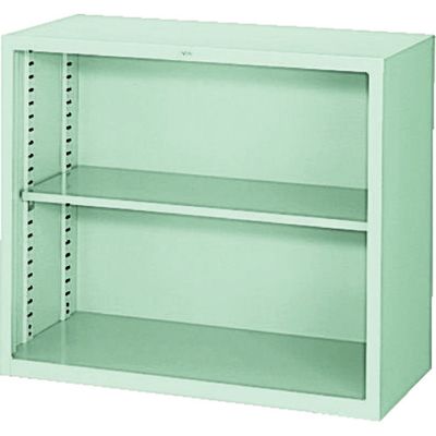 ナイキ NAIKI オープン書庫 W880×D400×H750 HN308-AW 1台 836-9149（直送品）