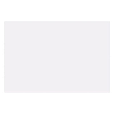 大王製紙 再生色画用紙 8ツ切 10枚 うさぎ _ 1冊（直送品）