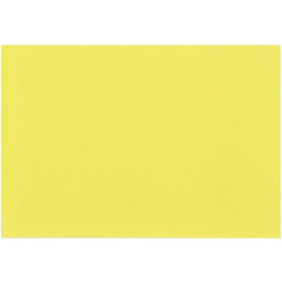 大王製紙 再生色画用紙 8ツ切 10枚 ひよこ _ 1冊（直送品）