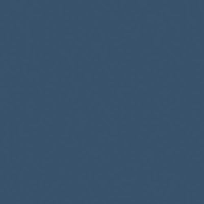 大王製紙 再生色画用紙4ツ切10枚ぶどう _ 1包（直送品）