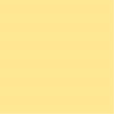 リンテック 色画用紙R 8ツ切 10枚クリーム 101 1包（直送品）