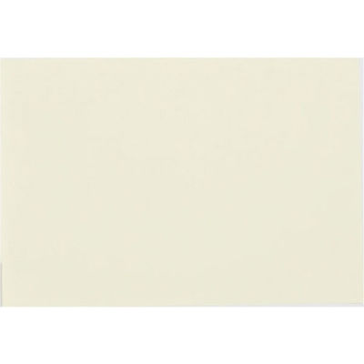 大王製紙 再生色画用紙 8ツ切 10枚 薄クリーム A-01 1冊（直送品）
