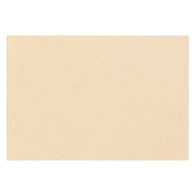 大王製紙 再生色画用紙 ８ツ切 10枚 しらちゃ A-42 1冊（直送品）