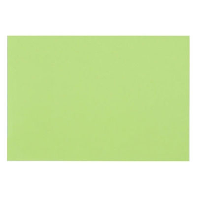 大王製紙 再生色画用紙 8ツ切 10枚 きみどり B-38 1冊（直送品）
