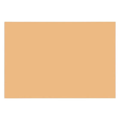 大王製紙 再生色画用紙 8ツ切 10枚 うすちゃ B-43 1冊（直送品）