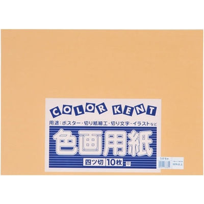 大王製紙 再生色画用紙 4ツ切 10枚 うすちゃ B-43 1冊（直送品）