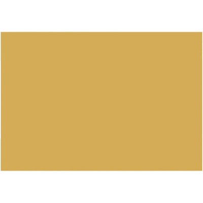 大王製紙 再生色画用紙 8ツ切 10枚 くちばいろ B-47 1冊（直送品）