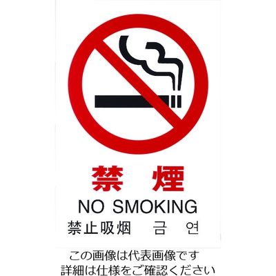 光 多国語ピクトサイン 禁煙 TGP2032-1 1枚 195-0171（直送品）