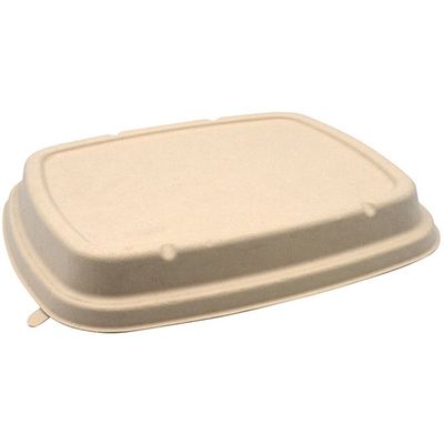 パックスタイル BB竹バガス弁当 N24ー20F 共蓋 300枚(50×6) 653871 1ケース(300枚入(50枚×6袋))（直送品）