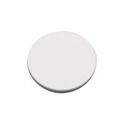 SPGテクノ マイクロガラスフィルター SPGディスク 30μm 親水性 DS08-300N 1個 4-2587-06（直送品）