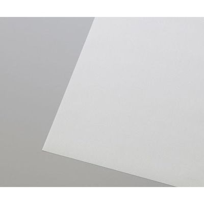 不燃透明ターポリン プライキャンバス 不燃半透明タイプ 2030mm×0.27mm×10m G-1025BT-10m 1巻（直送品）