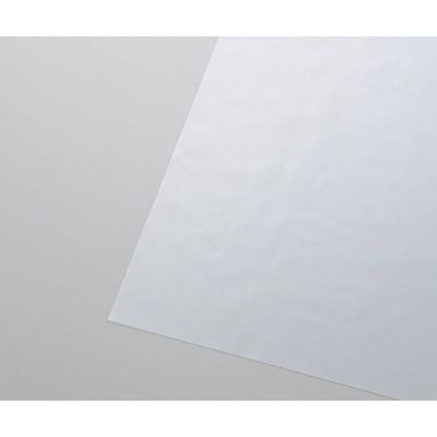 不燃透明ターポリン プライキャンバス 不燃高透光タイプ 1150mm×0.27mm×10m G-1025CL-10m 1巻（直送品）