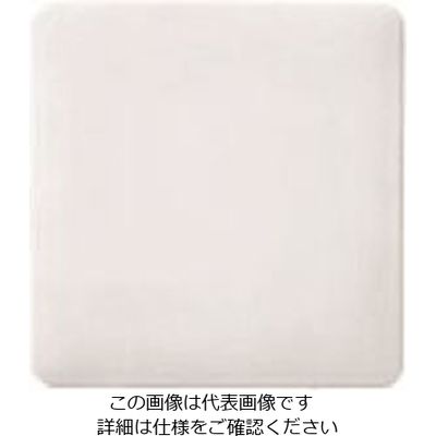 パナソニック Panasonic ワイド21カバーP2連・ベージュ WTC7092F 1セット(10個) 159-2438（直送品）