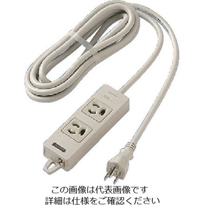 パナソニック Panasonic OAタップ(接地15A抜け止め形)(2コ WCH24323H 1個 157-8426（直送品）