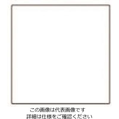 パナソニック Panasonic コスモワイドカバープレート WT8092F 1セット(10個) 159-2511（直送品）