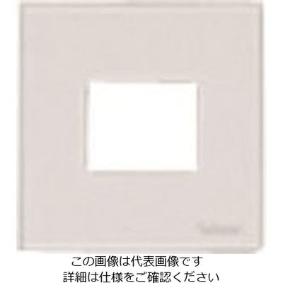 パナソニック Panasonic ワイド21ミニコンセントプレート WTF8071F 1セット(10個) 159-0915（直送品）