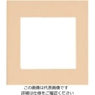 パナソニック Panasonic ワイド21コンセントP簡易耐火2連接穴 WTF8570F 1セット(10個) 159-7217（直送品）