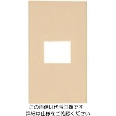 パナソニック Panasonic ワイド21コンセントプレート簡易耐火 WTF8701F 1セット(10個) 159-7238（直送品）