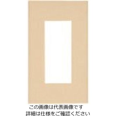 パナソニック Panasonic ワイド21コンセントプレート簡易耐火 WTF8703F 1セット(10個) 157-3502（直送品）