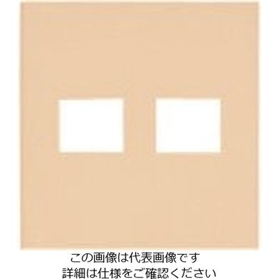 パナソニック Panasonic ワイド21コンP簡易耐火2コ用(1+1) WTF8772F 1セット(10個) 157-6771（直送品）