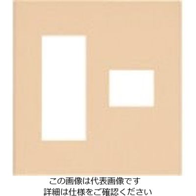 パナソニック Panasonic ワイド21コンP簡易耐火4コ用(3+1) WTF8774F 1セット(10個) 159-2406（直送品）