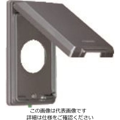 パナソニック Panasonic フルカラー金属防滴φ35コンプレート WN9903K 1セット(5個) 158-4675（直送品）