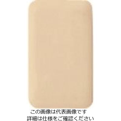 パナソニック Panasonic ワイド21簡易耐火カバープレート1連 WTC7791F 1セット(10個) 157-5113（直送品）