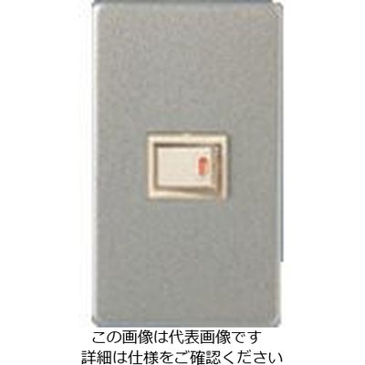 パナソニック Panasonic フルカラー新金属プレート2型1コ用 WN65019 1セット(5個) 158-7839（直送品）