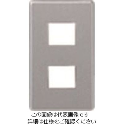 パナソニック Panasonic フルカラー新金属プレート2型2コ用 WN65029 1セット(5個) 157-9925（直送品）