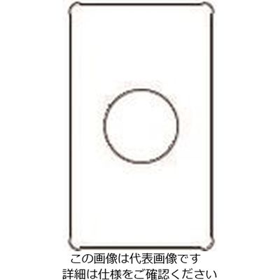 パナソニック Panasonic フルカラー新金属コンセントプレート WN65539 1セット(5個) 158-4656（直送品）