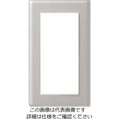 パナソニック Panasonic コスモワイド新金属プレート2型1連 WTC9201K 1セット(5個) 159-2434（直送品）