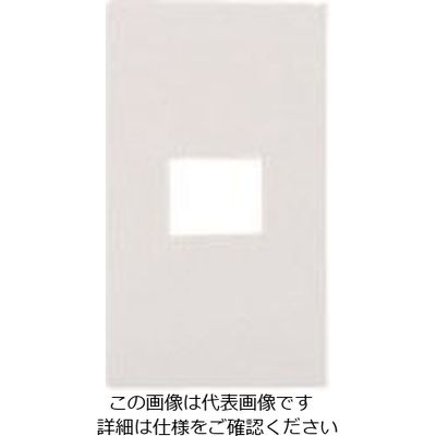 パナソニック Panasonic アドバンスコンセントプレート1コ用 WTL7001WK 1セット(10個) 158-7880（直送品）