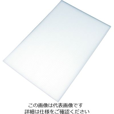 国盛化学 住化 プラダン サンプライHP50100 910×910ホワイト HP50100-WH 910910 1枚 205-1070（直送品）