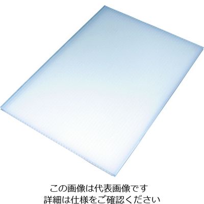 国盛化学 住化 プラダン サンプライHP30050 910×910ナチュラル HP30050-N 910910 1枚 205-1103（直送品）